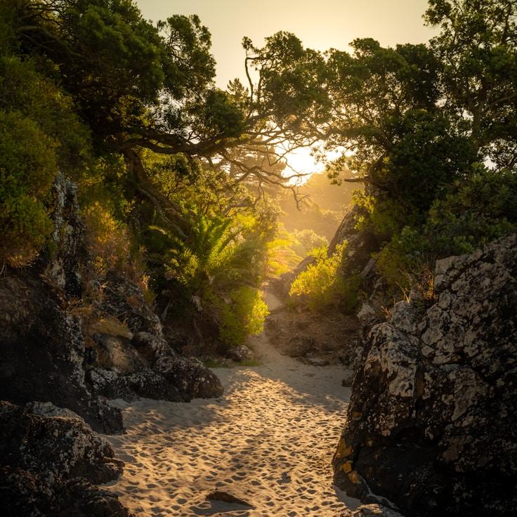 Protected areas overview